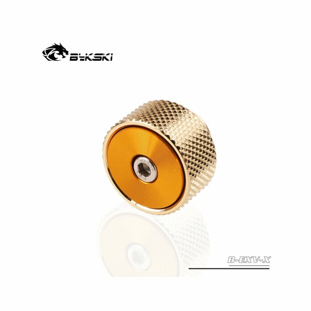 Luftventil 2020 Gold